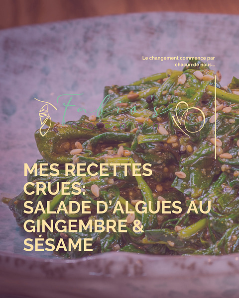 Recette_Salade_d'algues-Fabio's_Cocoon